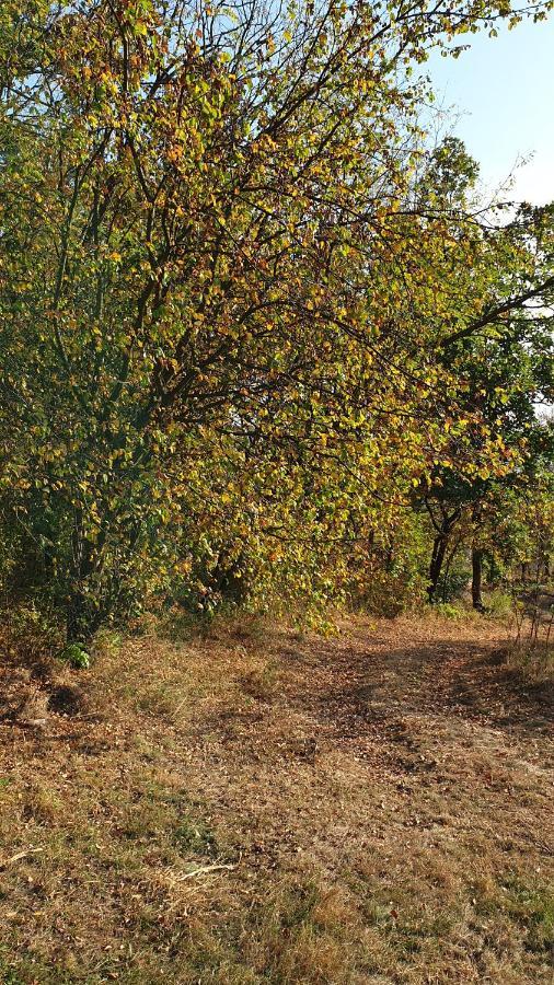 Api Centar Brdjani Villa Brgjani Buitenkant foto